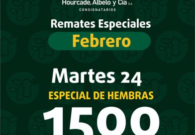 Remate – martes 24 de febrero de 2026