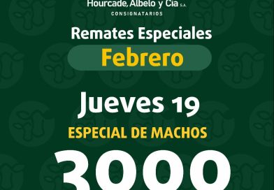 Remate – jueves 19 de febrero de 2026