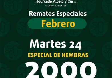 Remate – martes 24 de febrero de 2026