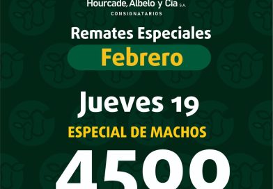 Remate – jueves 19 de febrero de 2026