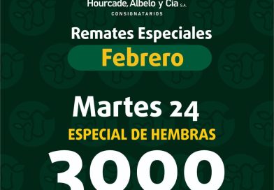 Remate – martes 24 de febrero de 2026