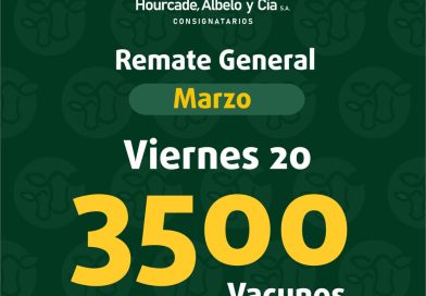 Remate – viernes 20 de marzo de 2026