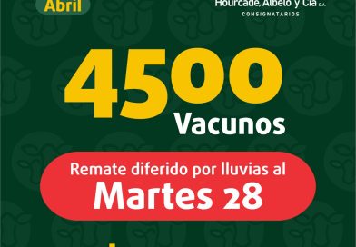 Remate – martes 28 de abril de 2026