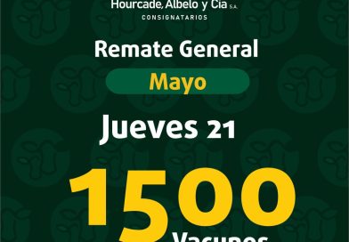 Remate – jueves 21 de mayo de 2026