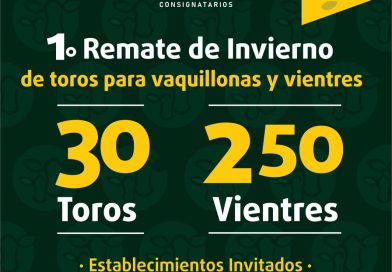 afiche