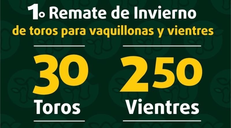 afiche