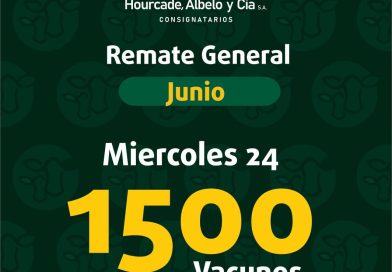 afiche
