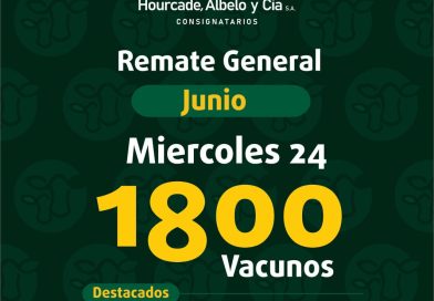 Remate – miércoles 24 de junio de 2026