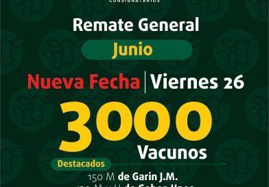 Remate – viernes 26 de junio de 2026