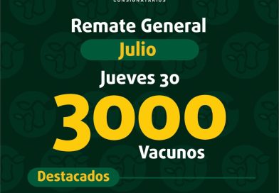 Remate – jueves 30 de julio de 2026