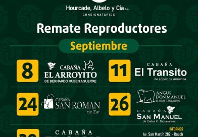 Remate Reproductores