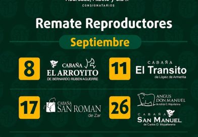 Remate Reproductores