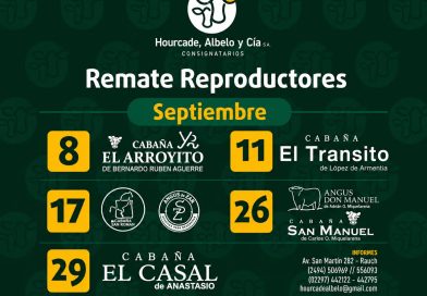 Remate Reproductores