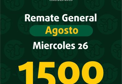 Remate – miércoles 26 de agosto de 2026