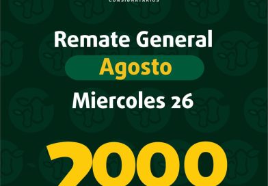 Remate – miércoles 26 de agosto de 2026