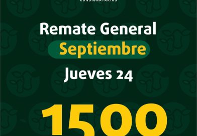 Remate – jueves 24 de septiembre de 2026