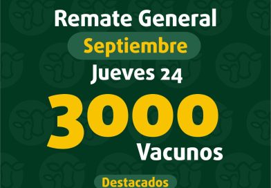 Remate – jueves 24 de septiembre de 2026
