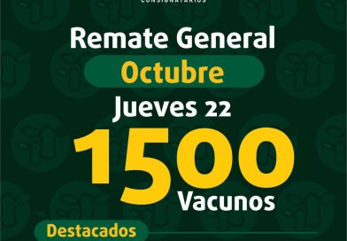 Remate – jueves 22 de octubre de 2026