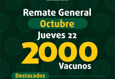 Remate – jueves 22 de octubre de 2026